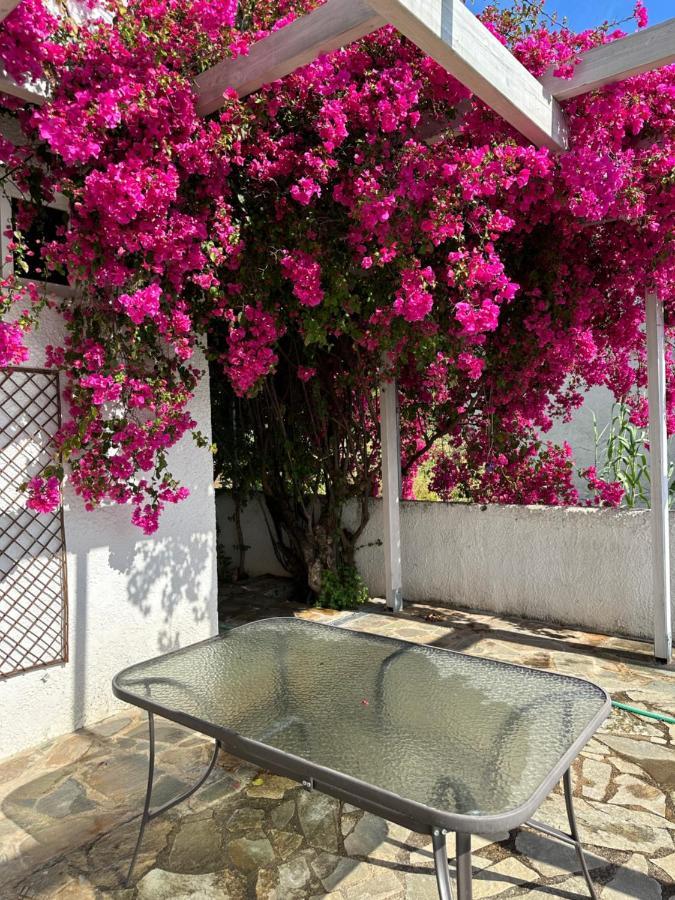 Villa Pinelopi Kalamata Exterior photo